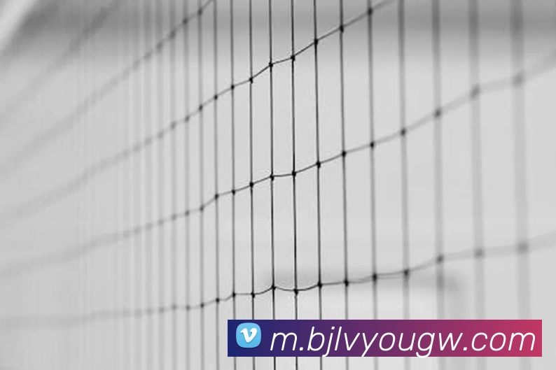 澳门百家乐网站服务体系